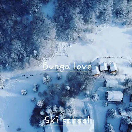 & Kopaonik